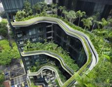 دانلود فایل تحقیق بررسی طبیعت سبز در معماری