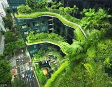 پاورپوینت طراحی معماری و عوامل طبیعی در معماری سبز ،