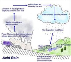 دانلود پاورپوینت بررسی باران اسیدی Power Point
