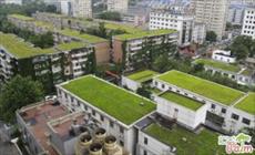 فایل و تحقیق-بامهای سبز سنتی و مدرن و روش ایجاد باغچه بر روی پشت بام - در50 صفحه-docx