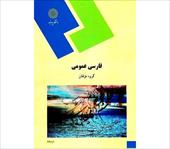 دانلود پاورپوینت خلاصه کتاب فارسی عمومی