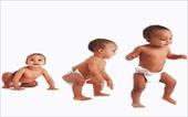 تحقیق رشد و تکامل حرکتی در طول عمر