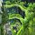 پاورپوینت-شهر سبز در معماری پایدار-35 اسلاید-pptx